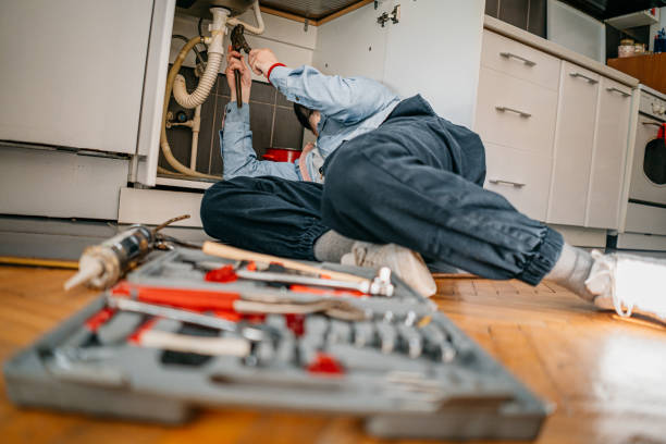 Best Same-Day Plumbing Service  in Haliimaile, HI