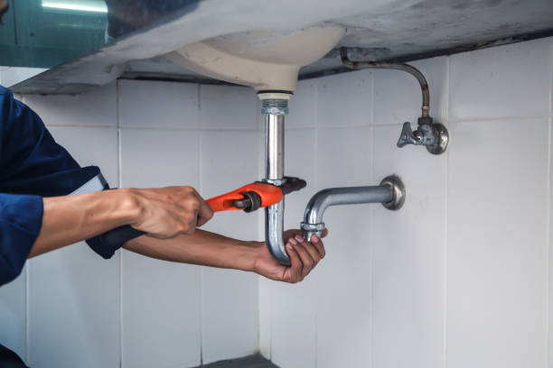 Best Local Plumber Services  in Haliimaile, HI