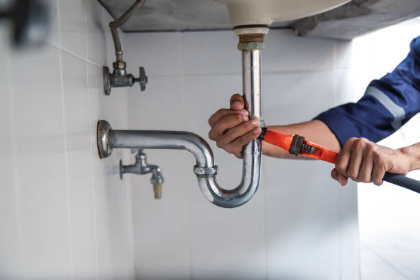Best Clogged Drain Plumber  in Haliimaile, HI
